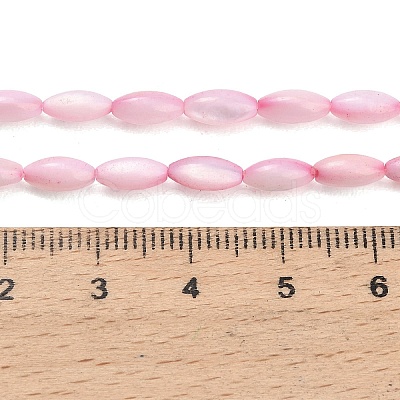 Natural Freshwater Shell Beads Strands SHEL-C010-01E-1