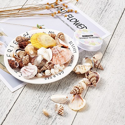 Mixed Shell Beads BSHE-TA0002-05-1