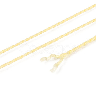 Braided Polyester Cord OCOR-T017-04A-18-1
