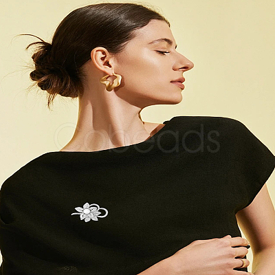1Pc Zinc Alloy Rhinestone Brooches JEWB-LP0006-05P-1