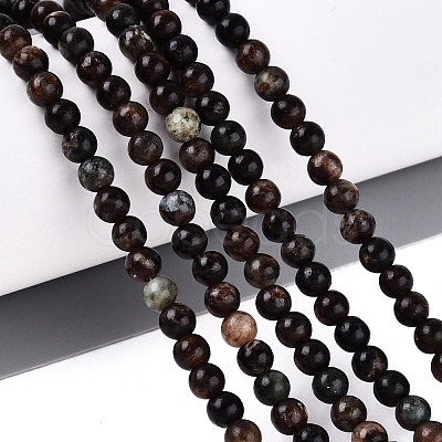 Natural Biotite Beads Strands G-Q616-01A-1