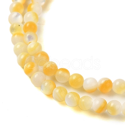 Natural Yellow Shell Beads Strands SHEL-M021-03A-1