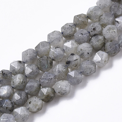 Natural Labradorite Beads Strands G-R465-33A-1