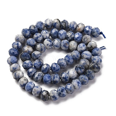 Natural Blue Spot Jasper Beads Strands G-K380-A02-01-1