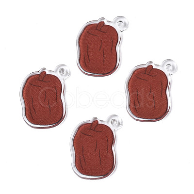 Translucent Acrylic Pendants TACR-N013-003-1