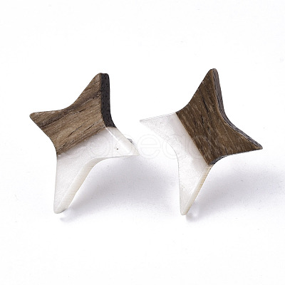 Resin & Walnut Wood Stud Earrings EJEW-N017-004A-1