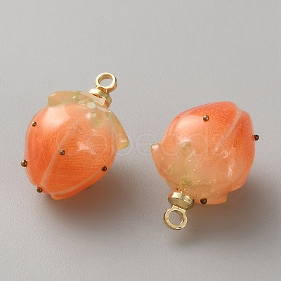 Plastic Pendants FIND-WH0433-14G-1