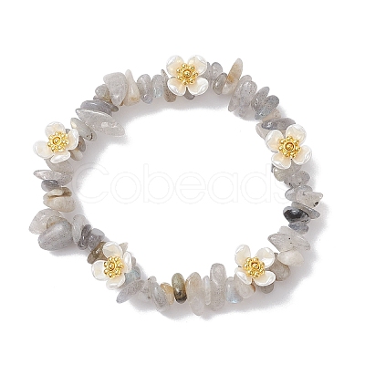 Natural Labradorite Beaded Stretch Bracelets for Women BJEW-JB12315-03-1