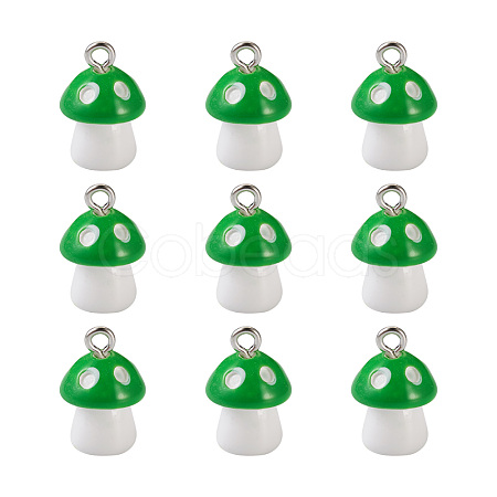 Plastic Pendants KY-TA0001-15C-1