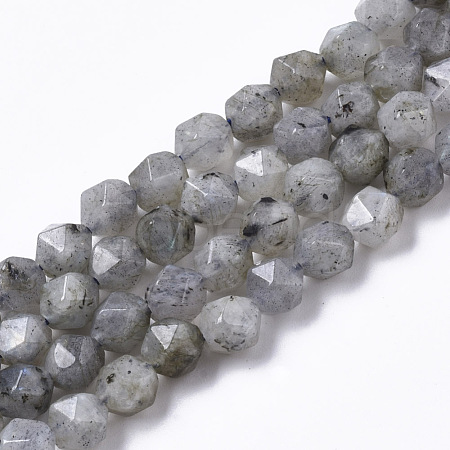 Natural Labradorite Beads Strands G-R465-33A-1