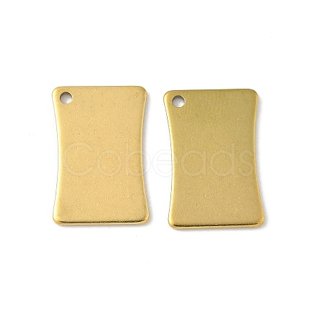304 Stainless Steel Pendants STAS-A057-02G-1