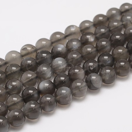 Natural Black Moonstone Beads Strands G-F306-06-8mm-1