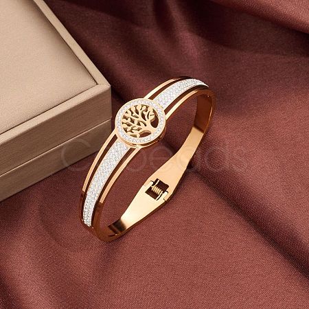 Stainless Steel Hinged Bangles for Women WGCD00D-03-1