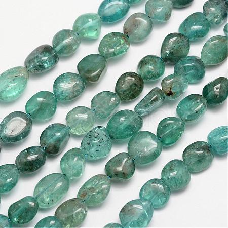 Natural Apatite Bead Strands G-L459-13-1