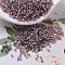 MIYUKI Delica Beads Small, Cylinder, Japanese Seed Beads, 15/0, (DBS0146) Silver Lined Smoky Amethyst, 1.1x1.3mm, Hole: 0.7mm, about 175000pcs/bag, 50g/bag