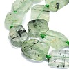 Natural Prehnite Beads Strands G-K245-J13-01-3