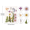 Pressed Dried Flowers DIY-YWC0001-94-3