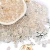 Transparent Spray Painted Glass Seed Beads SEED-L011-10A-05-1