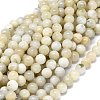 Natural Rainbow Moonstone Beads Strands G-O201A-17A-1
