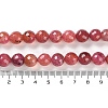 Natural Agate Beads Strands G-M437-C01-01L-5