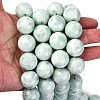 Natural Glass Beads Strands G-I247-31H-3