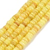 Natural Freshwater Shell Beads Strands SHEL-Q028-01C-1
