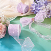 Polyester Deco Mesh Ribbons OCOR-TAC0024-004B-8