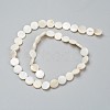Natural Freshwater Shell Beads BSHE-I011-01D-02-2