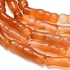 Natural Agate Beads Strands G-Z144-A02-02D-4