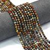 Natural Ocean Jasper Beads Strands G-A260-A05-01-1