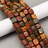 Natural Picasso Stone/Polychrome Jasper Beads Strands G-B155-D10-1