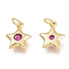 Brass Micro Pave Cubic Zirconia Charms KK-M206-30G-03-2
