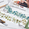 2 Rolls 2 Colors Coated Paper Stickers DIY-GL0006-03-5