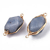 Dyed & Heated Natural Blue Aventurine Links/Connectors G-T131-100B-2