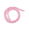 Natural Freshwater Shell Beads Strands SHEL-G013-02-3