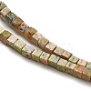 Natural Unakite Beads Strands G-B064-A10-4