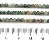 Natural African Turquoise(Jasper) Beads Strands X-G-P472-01-3