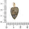 Natural Labradorite Pendants G-C290-01D-3
