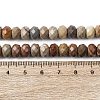 Natural Alashan Agate Beads Strands G-B179-A03-6x8mm-5