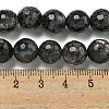 Natural Larvikite Beads Strands G-E571-A09-03-5