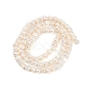 Natural Cultured Freshwater Pearl Beads Strands PEAR-P064-19B-04A-3