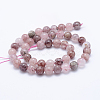 Natural Strawberry Quartz Beads Strands G-J373-16-10mm-3
