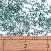 MIYUKI Delica Beads X-SEED-J020-DB0607-4