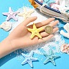 10Pcs Resin Decoden Cabochons CRES-YW0001-42-4