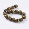 Tiger Eye Beads Strands X-G-C076-12mm-1B-2