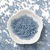 Glass Seed Beads SEED-H002-E-A1415-2
