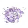 Natural Amethyst Chip Beads G-O103-10-1