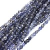 Natural Iolite Beads Strands G-I249-A04-1