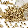 Plating Plastic Acrylic Round Beads PACR-L003-3mm-LG-1