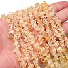 Natural Citrine Beads Strands X-G-P332-51-5